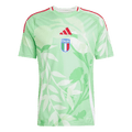 Men's Italy Away Football Shirt 2025 Green - Women's Euro