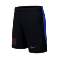 Barcelona Football Shorts Custom Away 2024/25